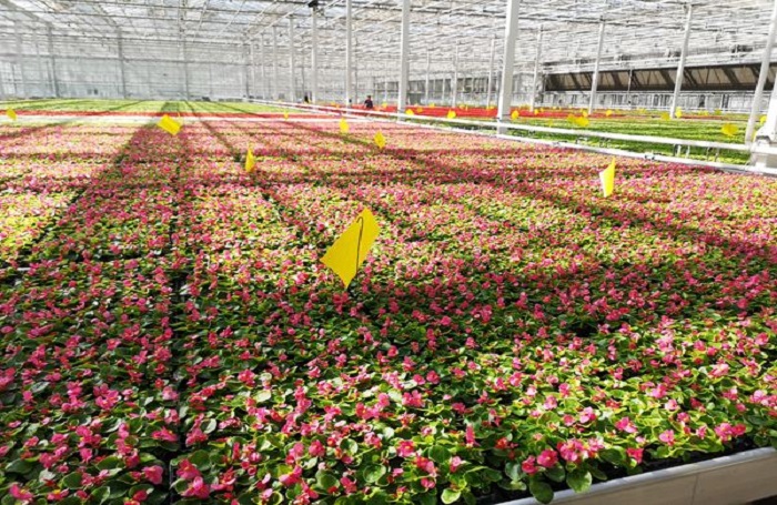 廣州花都某花卉種植場(chǎng)凈水項(xiàng)目